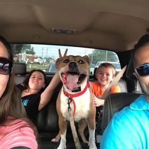 Meet your Posher, Malinda